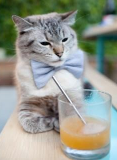 KAIYUNAPP-青年赛事吸引大批观众关注体育后备力量引发热议，体育界青年