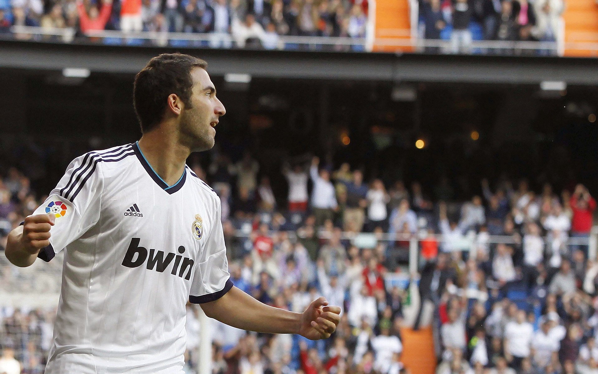 马克斯·维斯塔潘赢得2024年F1世界冠军，f1收官战维斯塔潘夺下杆位